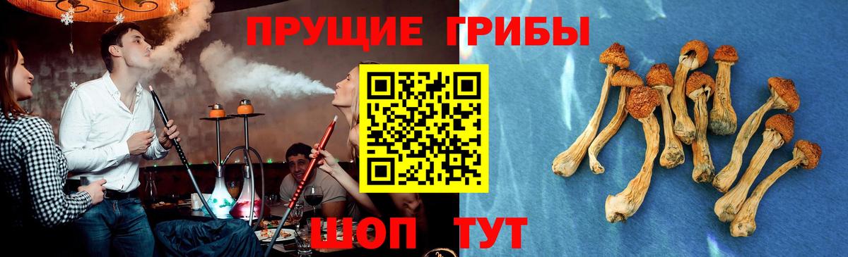 Псилоцибиновые грибы прущие грибы Камышлов