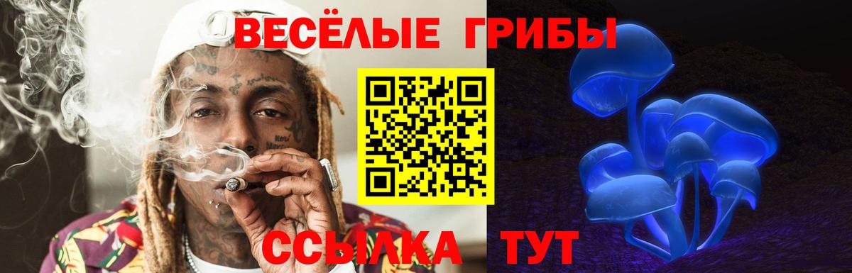 Камышлов  Псилоцибиновые грибы Psilocybine cubensis  Вход с VPN 